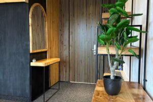 Camere de inchiriat – Pensiunea Bellavista