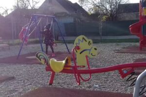 Căminul cultural Albina