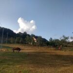 Căminul Cultural din Băița