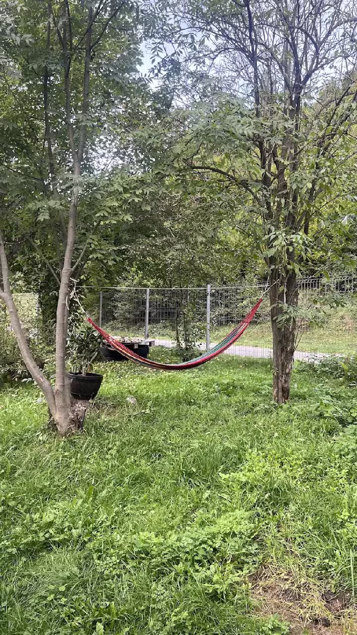 Camping Apuseni, Gura Cheii