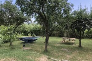 Camping Arges