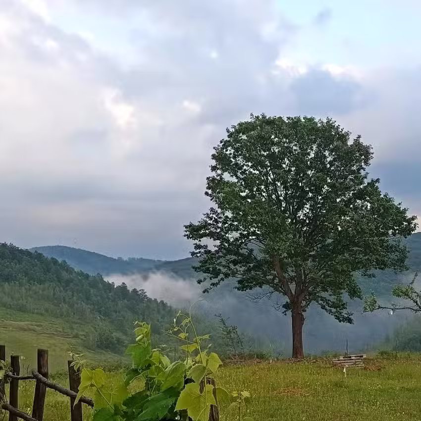 Camping DAScamping Vârciorog