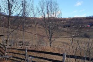 Camping de lux Cluj Napoca