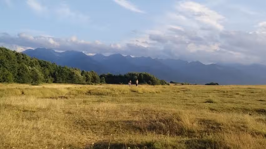 Camping Drăguş, Făgăraş