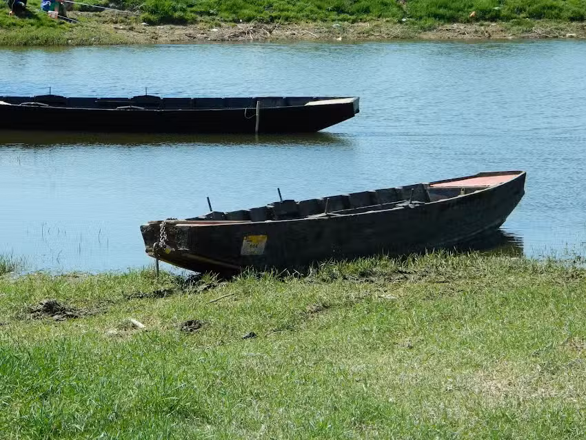 Camping Dunărea