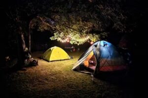 Camping ”Grădina cu flori”