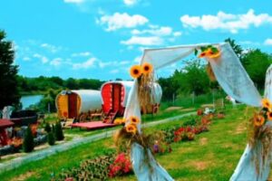 Camping „La Căruțe”