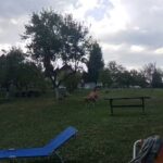 Camping Mădălina