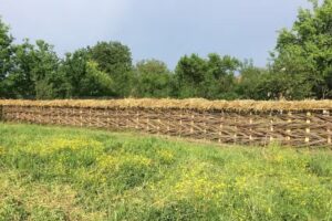 Camping Noroc Maramures