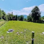 CAMPING PASTRAVUL SAPANTA