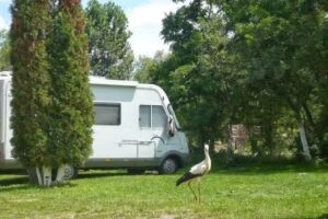 Camping Sălişteanca