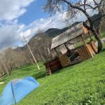 CAMPING TRADIȚIONAL IN ȚARINĂ (la Georgiana)