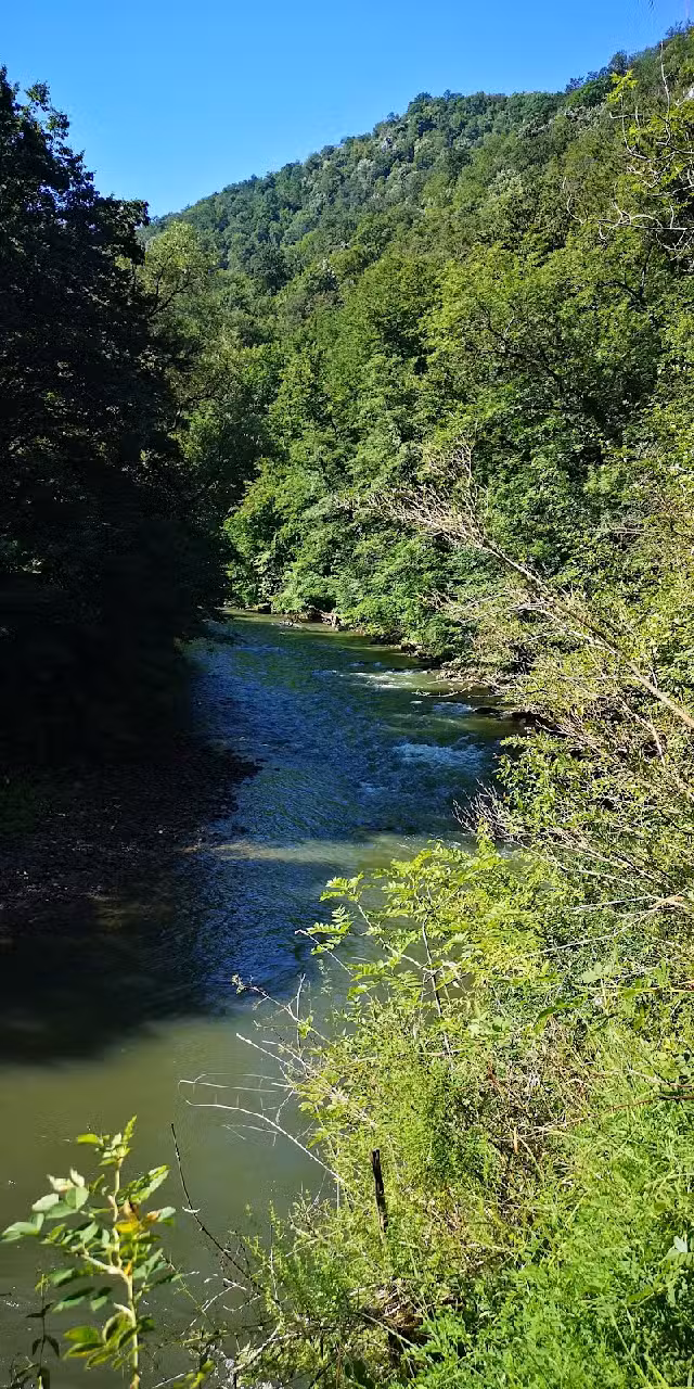 Camping Vadu Crisului