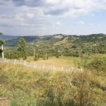 Campusul Pentru Copii Bisoca