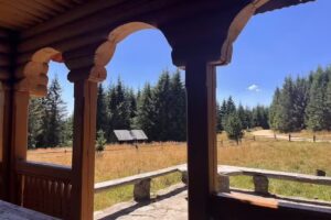 Canton Silvic Muncel