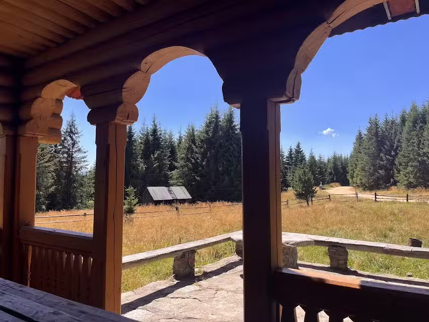 Canton Silvic Muncel