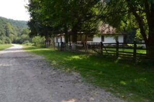 Cantonul Silvic Babina