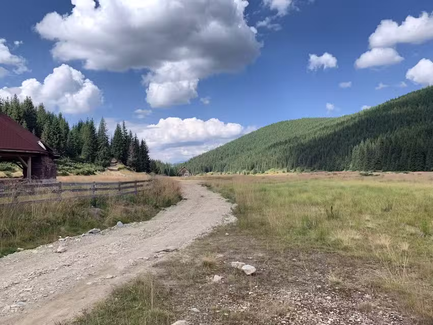 Cantonul Silvic Valea Frumoasei