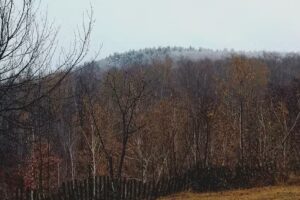 Carpathian Village Excursii ATV
