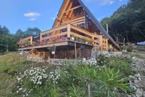 Carpatian Log Cabin Dragoslavele