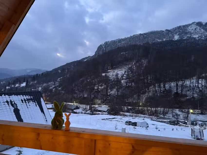 Carpatian Log Cabin Dragoslavele