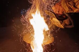 CarpatinA Rustic House