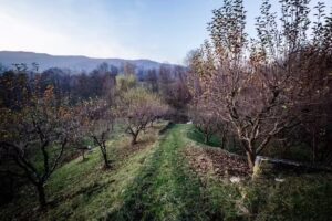 Casa Adelina – Valea Lungă