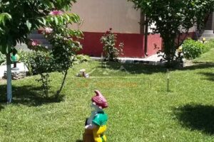 Casa Alessia 23 August