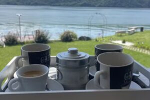 Casa Ambiance, Eselnita