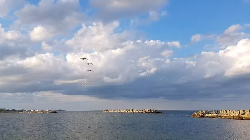 casa Amelie Mangalia