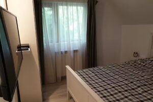 Casa Aris Lepsa Vrancea