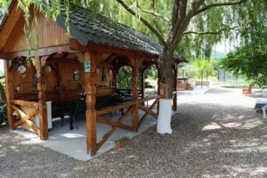 Casa Boilă Bârsana Maramureș