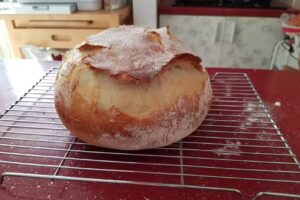 Casa Buburuzilor – Navodari