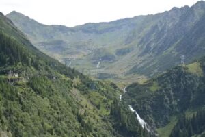 Casa Bunici Cârțișoara