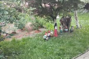 Casa Bunicilor Bucovina