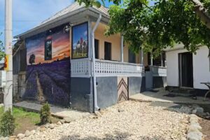 CASA BUNICILOR din Leresti