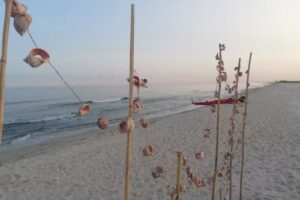 Casa Bunicilor Jurilovca – Granny’s House