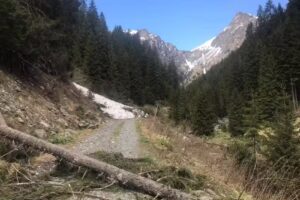 Casa Carpatica Nucșoara