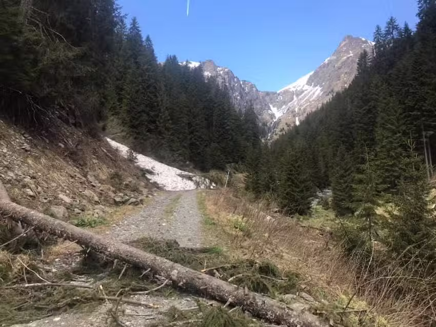 Casa Carpatica Nucșoara