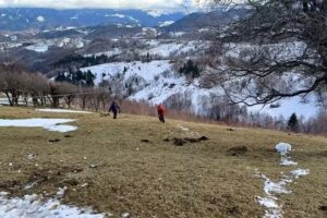 Casa Constantin Șirnea