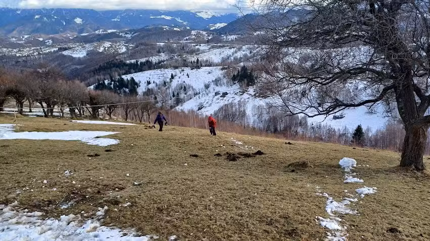 Casa Constantin Șirnea