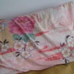 Casa cu acoperișul galben Prislop