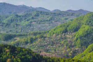 Casa cu Șopron (Pietrișu – The Hidden Village)