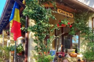 Casa cu Tei | Sărata-Monteoru (Buzău)