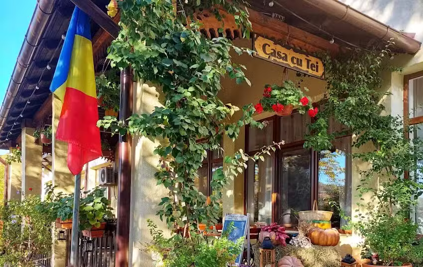 Casa cu Tei | Sărata-Monteoru (Buzău)