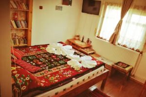 Casa cu zmeură galbenă