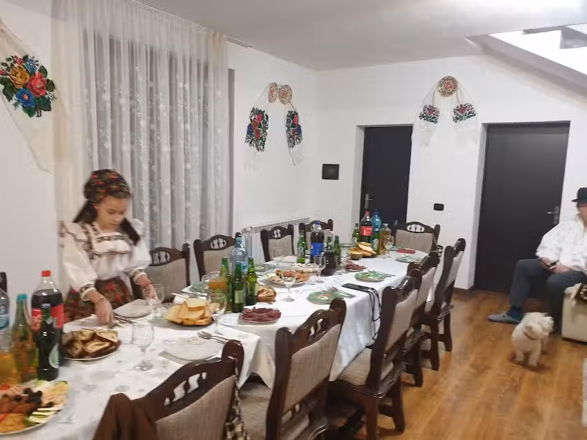 Casa Dalina Maramures