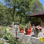 Casa de la râu Vistea mare