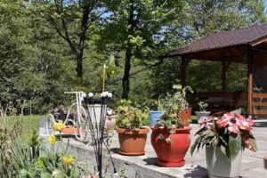 Casa de la râu Vistea mare