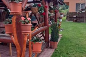 Casa de oaspeți Cristian